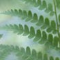poetic earth month