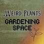 Nurturing Life - Weird Plants Gardening Space