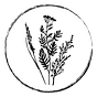 Artemisia Farm & Vineyard Newsletter