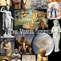 The Venus Diaries by Katriena Emmanuel