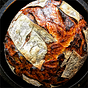 A Sourdough Story Newsletter