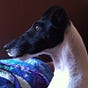 Tialin's avatar
