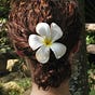 Amy Chase's avatar