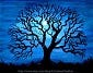 Blackthorn's avatar
