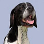 Jack Thomas's avatar