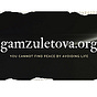 Misha from Gamzuletova's avatar