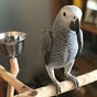 wordybird2002's avatar