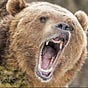 Rugbear's avatar