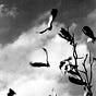 Ingolf Eide's avatar