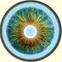 Michael Rizzotti's avatar