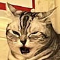 tigerrrr's avatar