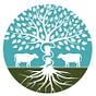 RootCause MD's avatar