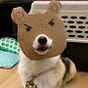 firehat's avatar