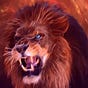Courageous Lion's avatar