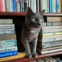 Karin Kohlmeier's avatar