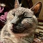 Ellen's avatar