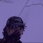 Mitchell Todorov's avatar