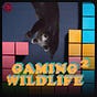 Wildlife Culture Collective's avatar
