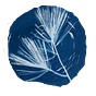 Flooded Pine Press's avatar
