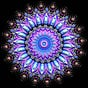 ✨MindShift Musings✨'s avatar