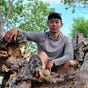 Christopher Ren's avatar