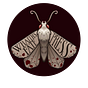 Kayla Maurais's avatar