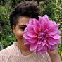 afroliage's avatar