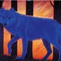 James Don BlueWolf's avatar