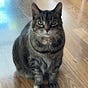 Phyllis Stengel's avatar