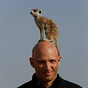Michael Sklar's avatar