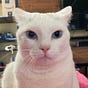 Covfefedoc's avatar