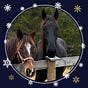 Phar Percheron's avatar