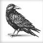 Quoth The Raven's avatar