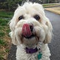 Anne B's avatar
