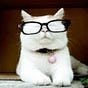 Catturd's avatar