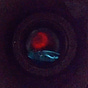Martyn K's avatar
