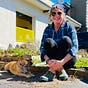 Amy Jane Williams's avatar