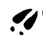 Traces Journal's avatar