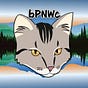bluePNWcats's avatar