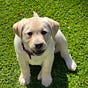 Bo's avatar