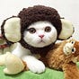 TedTheKitty's avatar