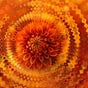 Nathalie Faure's avatar