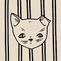 Bailey Roy's avatar