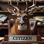 Dear Citizen's avatar