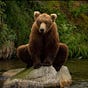 Rockjaw's avatar