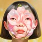 Nico Shi's avatar