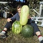 Will Food Forest Permaculture's avatar
