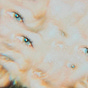 Meg Miller's avatar