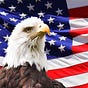 American Free News Network's avatar