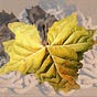 Autumn of the Species's avatar